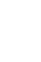 Bóng đá