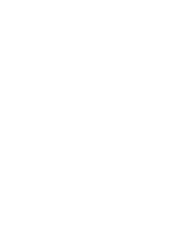 Bóng rổ