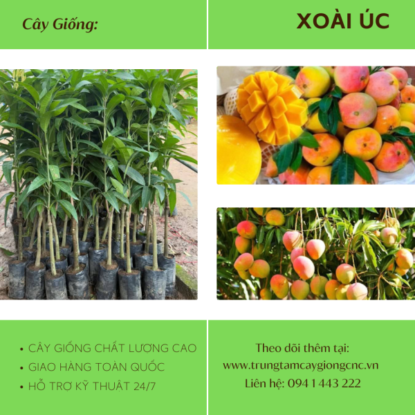 Xoài Úc